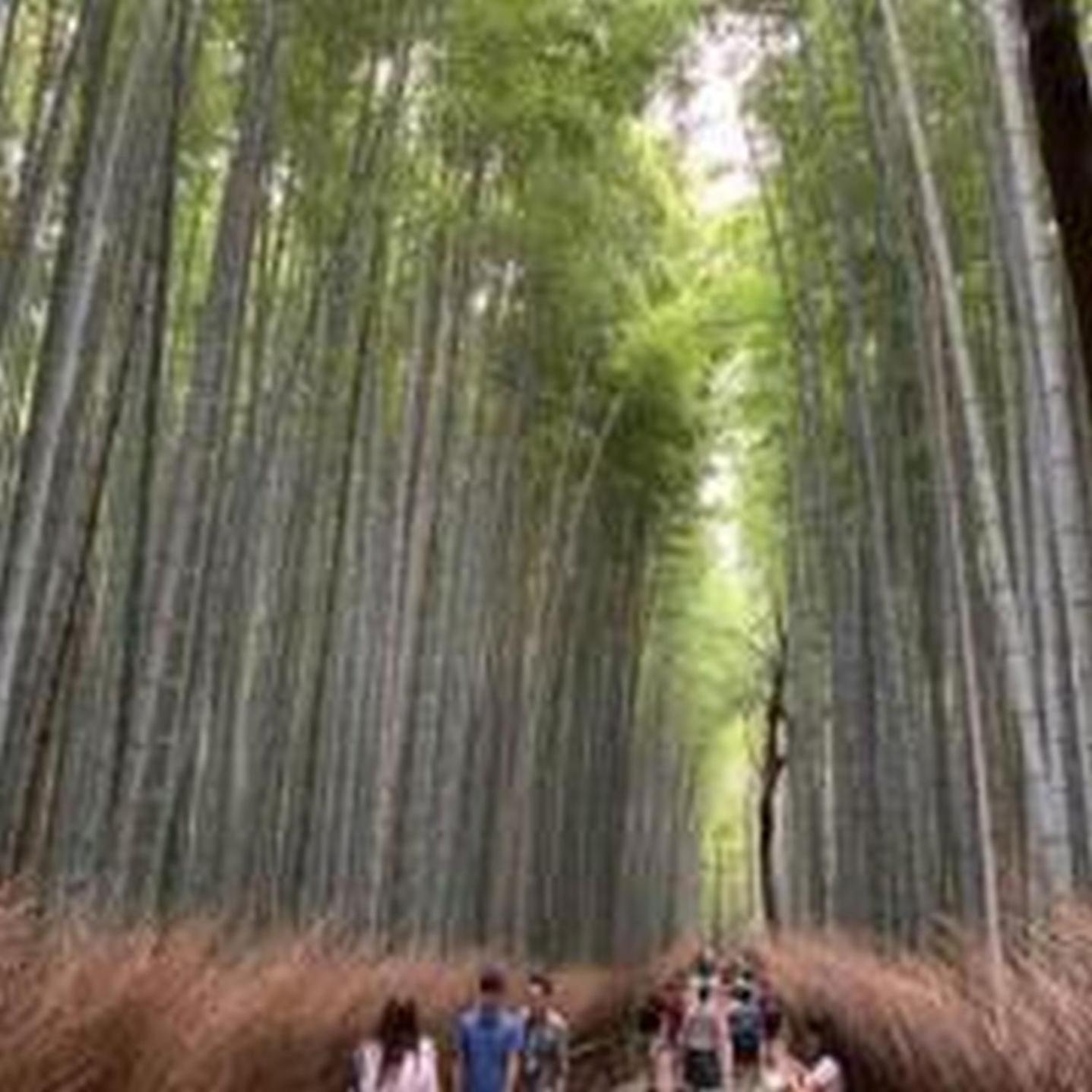 むつみ庵此花301 公寓 *