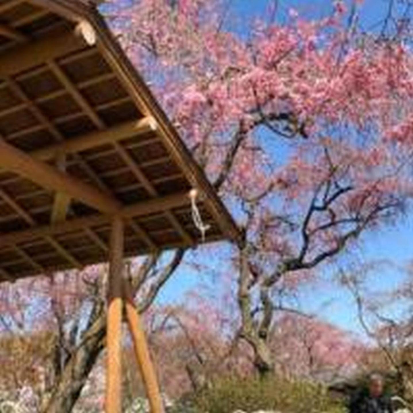 公寓 むつみ庵此花301