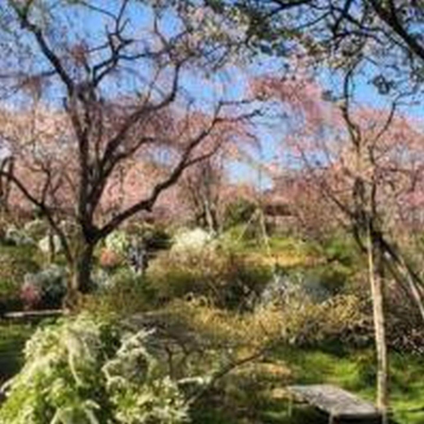 むつみ庵此花301 Apartment *